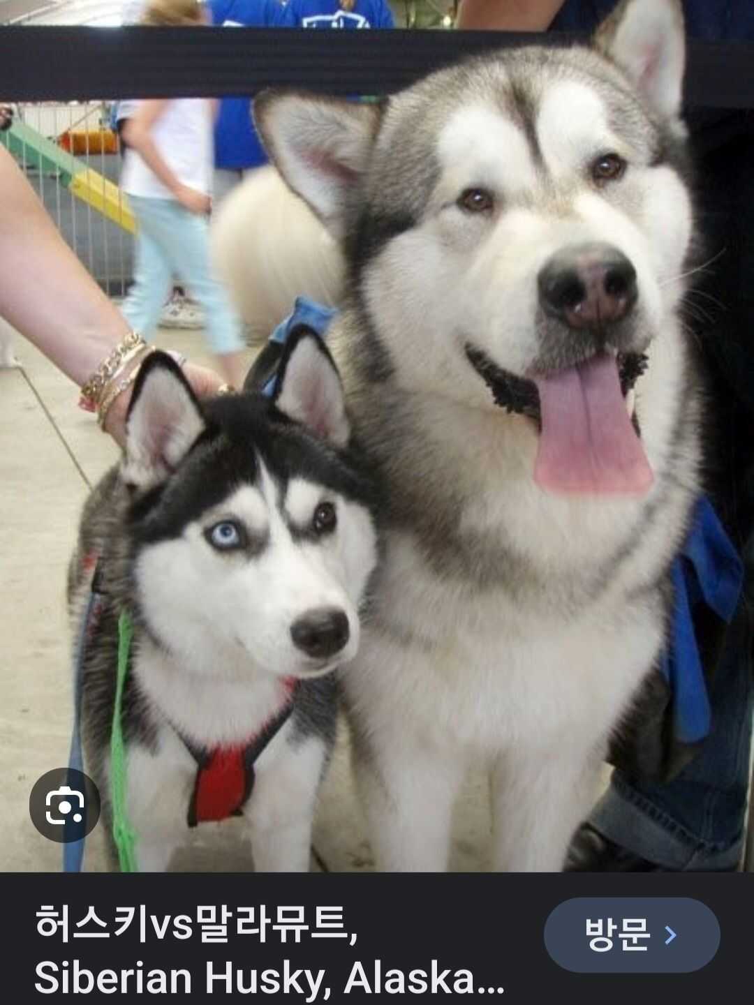 b8c150cf24c301f22b1134a3d0a9023df68a5cd0175bb12a49344f997a7bddfafdbc024b3f2f290194fb20484cffae13680c607cde98cf164cc07d39ae5635c5