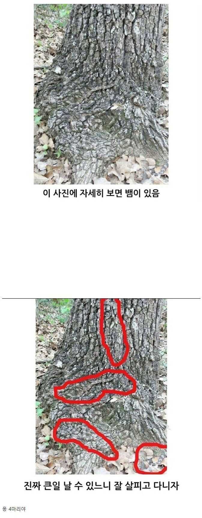 ba16625e1953a97c5b18b3b1b3328b219d714895a610d2f4652b26610850a161552df12ec13631b1d2ecbba0f4d254977ece893c214fbf35170b66a77fa88d3c