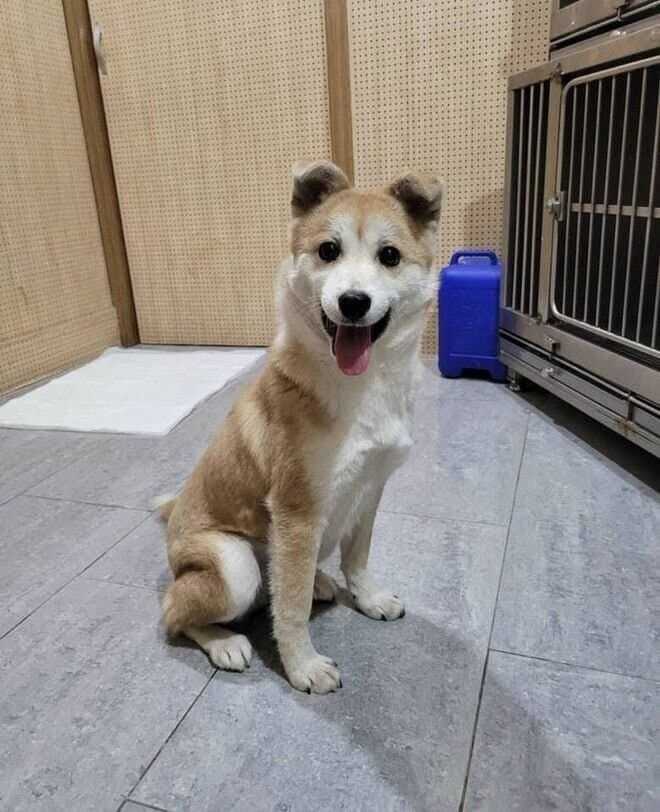 ba3eff5d6e548b1952e60d6c8580b2b749fd77aa0a288076327d55a507f6484934df55bce6053578843db9ab7b5058413e3d0f7adcd7668177779f4044f8be01