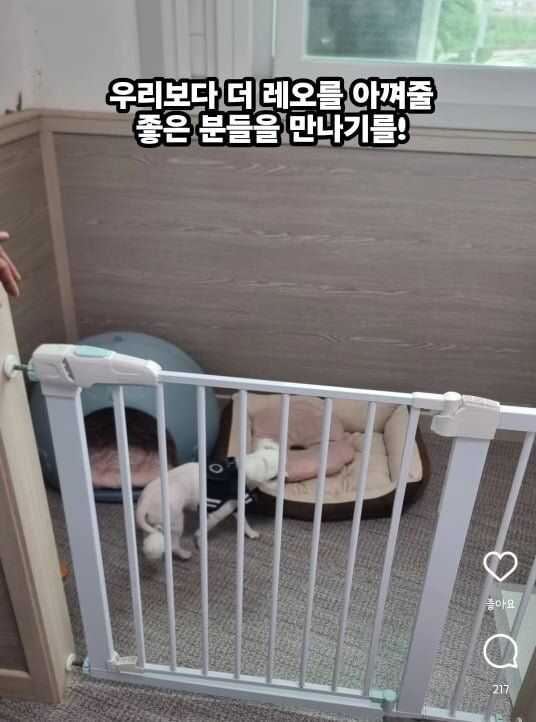 ba5ee011743b7e9e7a0f4963484a2eb63fb3466aabbcc1816080183e26530435c86e61330a59644279217b6a937005272da82436202c11df696122820c68d610