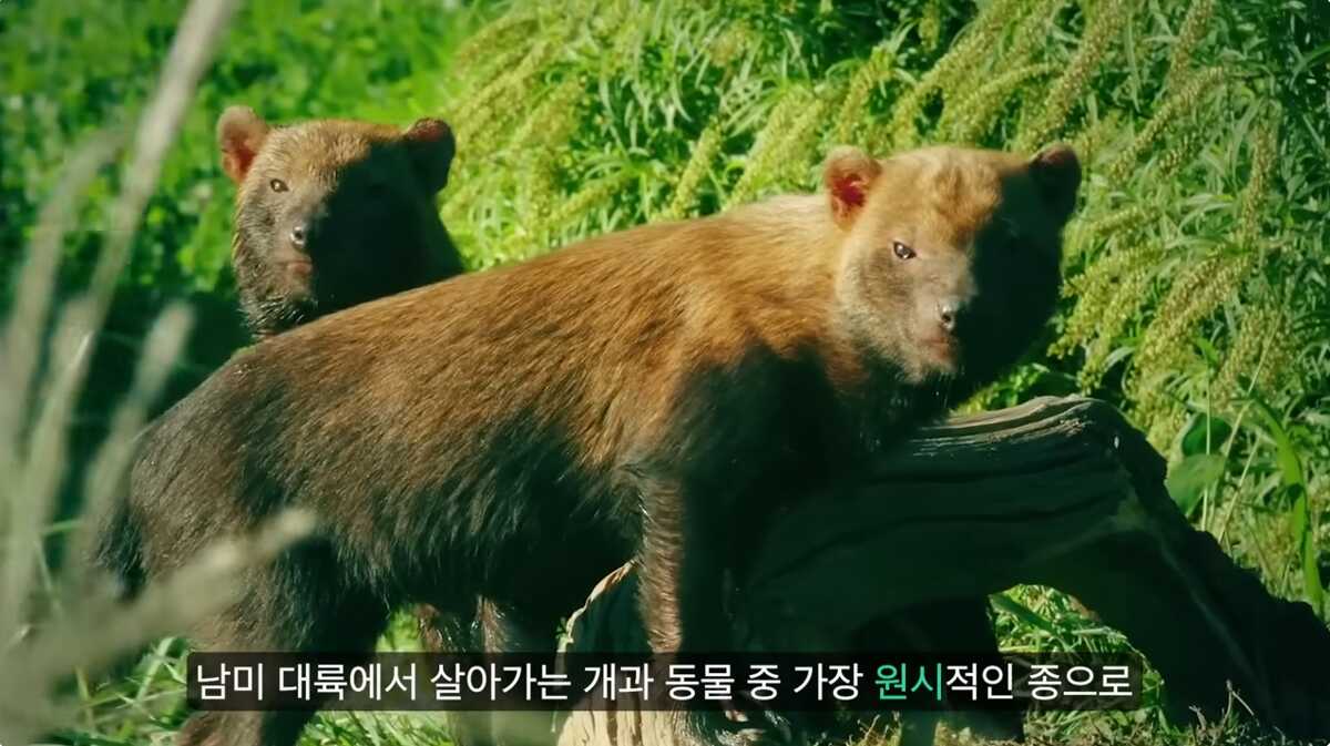 badd8b9d9ed1c13bfcab76e262c50b6e43382adebfa1176aabcd98641a11fa51f3d241c10beca1de8193af682e49f1bd6c7917e2109bdc8824ee6cbd229da1f0