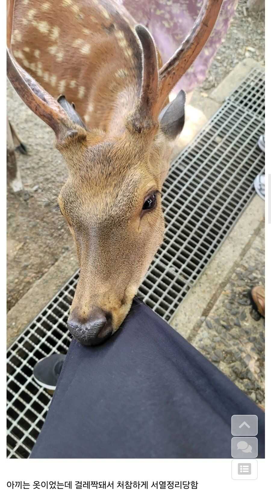 bbd7d310f0941a42b43436d8f1d9551d9c938c1fff7a485fc824073304748bff3804e08c50ae20c8342c8b94772f2e23f9a01110fda1776b006c84444941b423