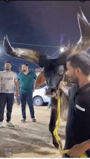 bc9557952f3b297e80d190854448208e4c3352321881cbfb59938c981f645ca453270657af347108443dbb06f3ebdf3736bbb045e87962434c1edab1bc7ab9c6