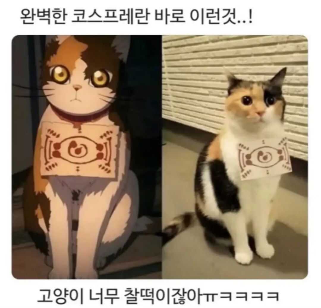 bf0fe81a8d6abd49116a3a21a9bafd0270c1a6a59a9f94ad215302d9eb3375e176a4fa8a3c457fc8197cd7e07bb9a1f253e14a1dc0e2c7e9777e6ee011a4475d