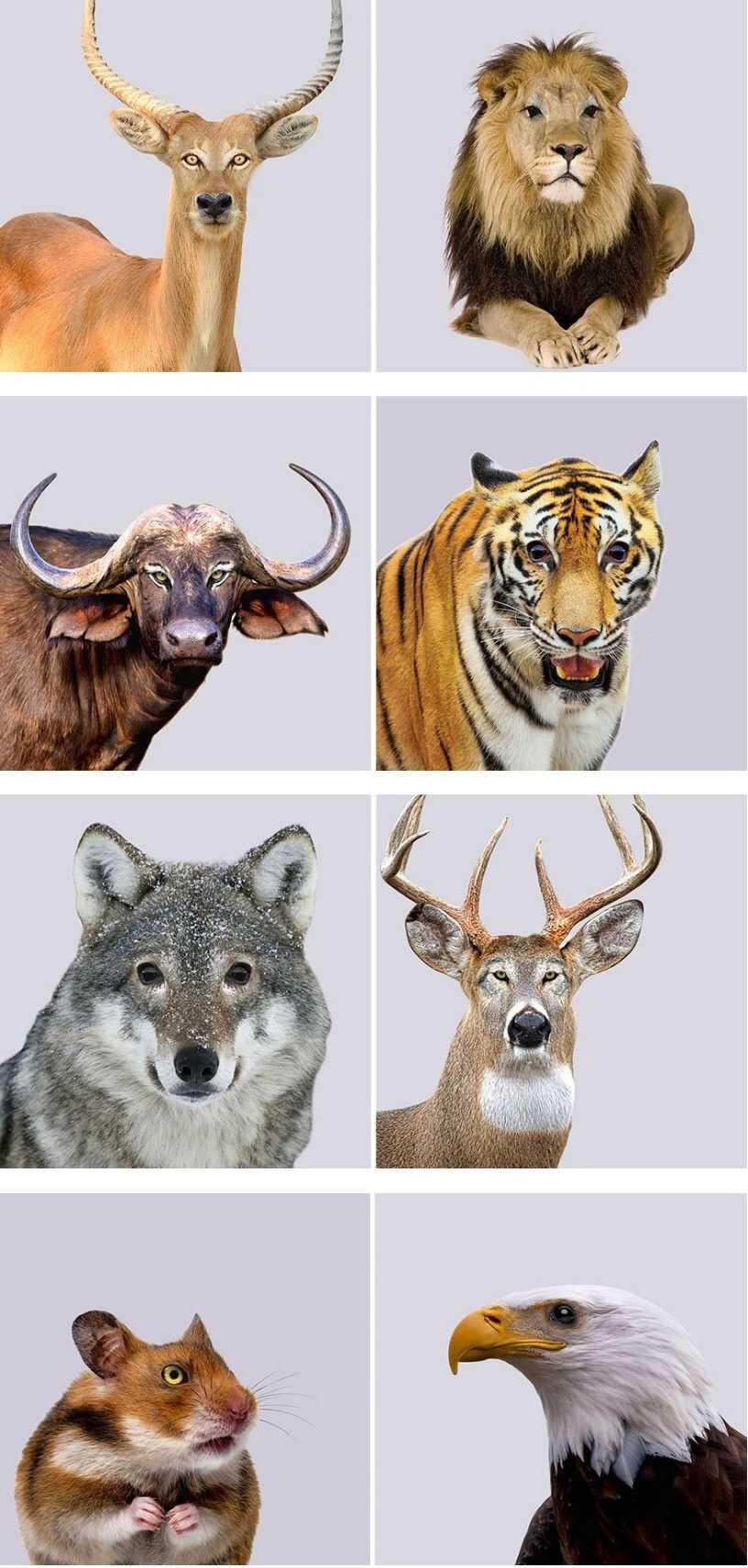 bf3823f3a79e009d8d55c8a2f9c762933d616342facf336ddd6601dab438390eba3226b84252df53a8875fb3b523e1aeb5178386682a917b1bc202aa7ca6cad2