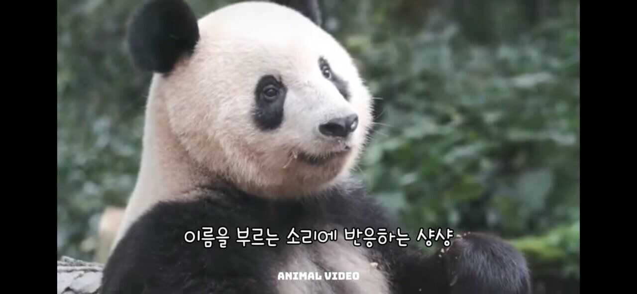 c039c4012c501f65949cbe2710b43d8848891951c2e3af419e94dc60838a43ea8b7a5a134a3b8714b435821528efadbf9598b6b89e993df8da66bce0a9e2ee1c