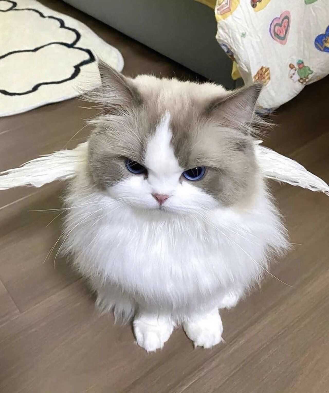 c28df40060289f6bc209e9021ca0974d1c3021c8aebecb373bf0bb9236f38dde7c09829e0016ad8adcf7ae7def6c5e1fa7b424661fa4fec1e1ddf25d633d08fd