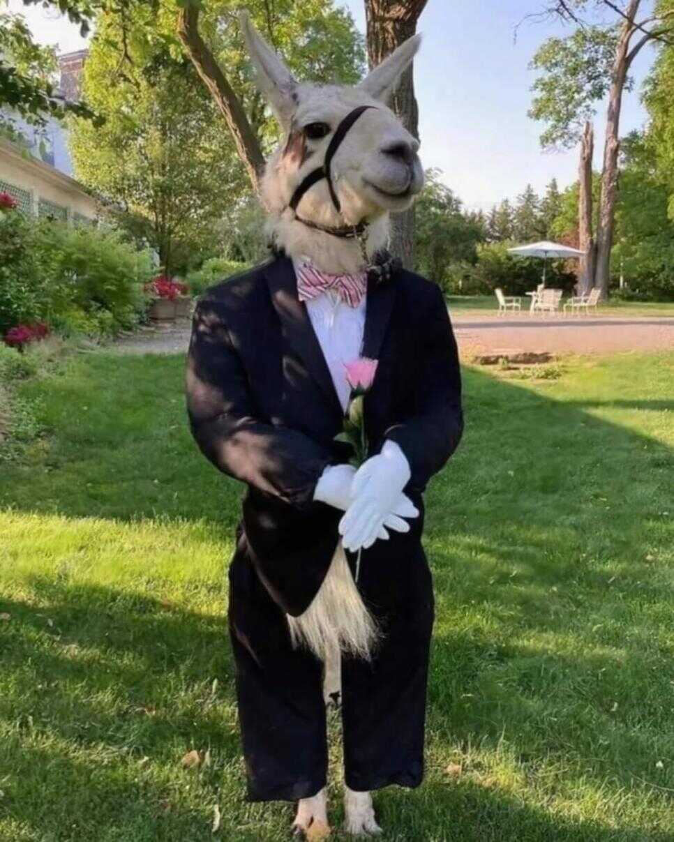 c2bcd8bf09a5b8b4df1aa9026006f4c26a7c53b8fe7cfaeceabaf5c3a5083d8e06e42d8fc3ce7f22593f5e90877cf2b1f80ee60c20a9585d471f1959f8b542a2