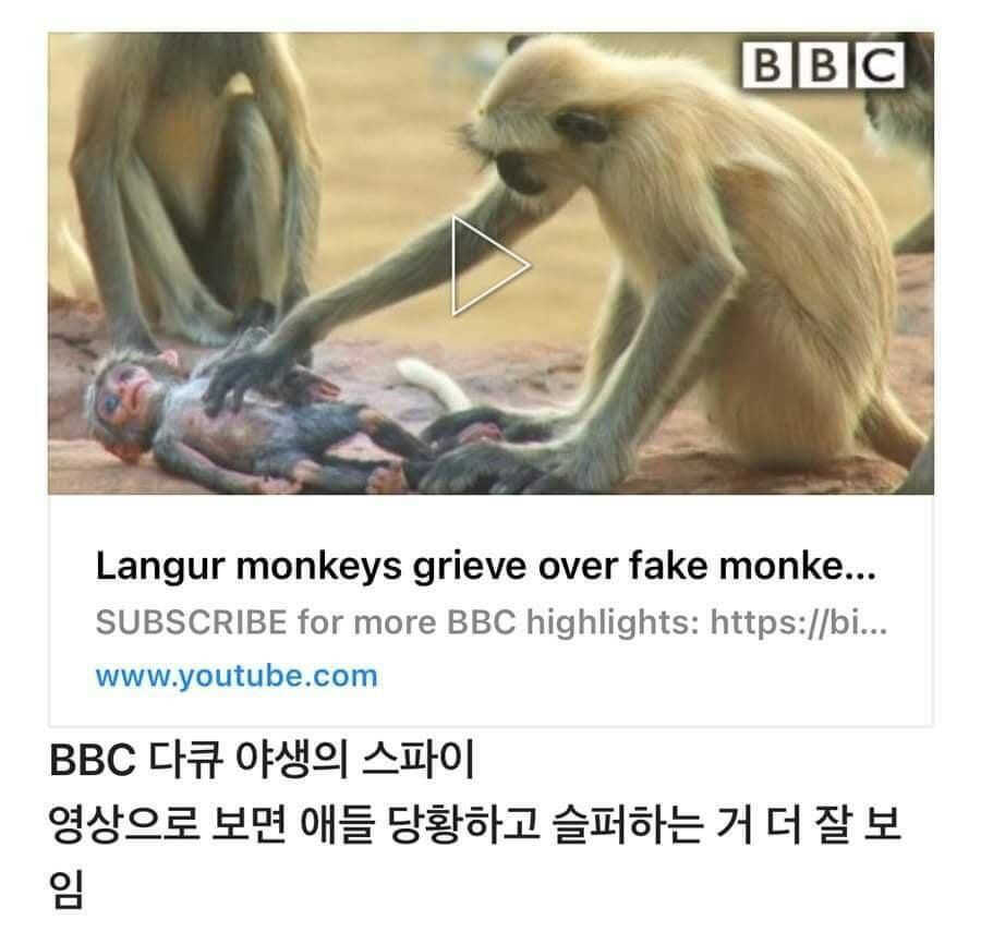 c30362c8d349d6e16a212c93b831620bbe12ceb2a38bf63bf720c5d5e015c6ba62887f5a1388b0d57187b4a3e3919da084990cc3eaac8abd0bdc0aa74ee48d7e