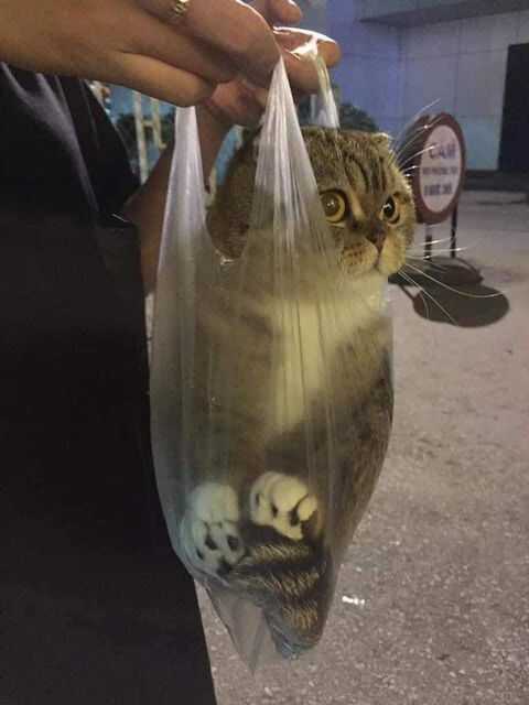 c31d609572ab6272c745ef4df9c02816ec4bb2ebff73b56c2e0fe362c883eb691d8251ac8d55654a2e1195bfa0d37d8839cb3d7fe39ed01375fe111375cbe1a0