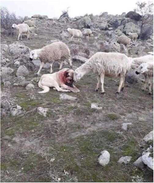 c38dcd12727968e64765467e401a7dd2da9b1fc4c8ecdb7e7d526669962f0d5fa19bec88c3dd503ce89d3bdae4bdf15bf047193b77812fbdd2a7af9219024dda