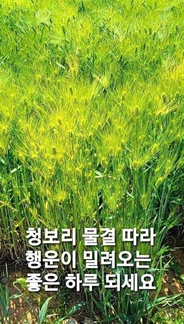 c3e1a8168f7966501fa1d20640b7349b747e3cab89b6a2d0b0a5b03787295ba450c014c3f9bd75963394aa4a7d616e7becb3277ab785ebf36b71c7df67191181