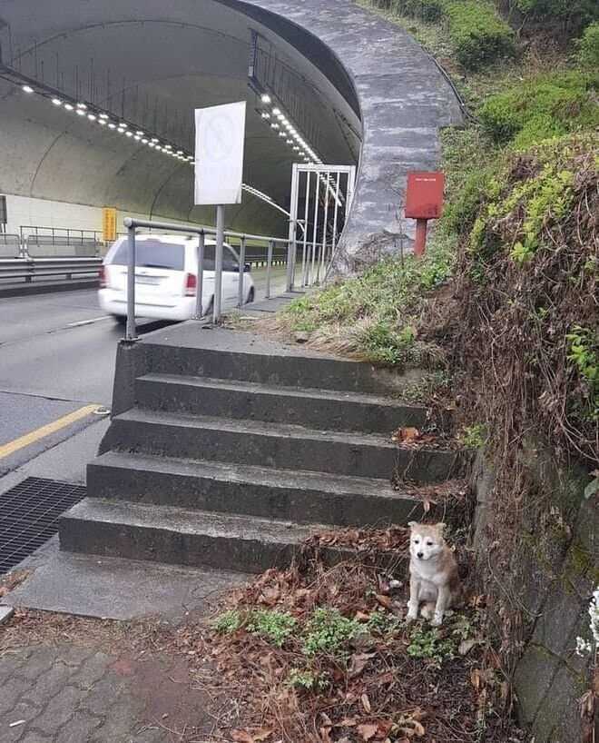 c3eb72a4a9799d0759f652d1b5ebde03241b0215a390e5d559383c4278054c366b3337270555f92da227bea83a5ad82d7004d3cab1e8123b808576776ba4b7be