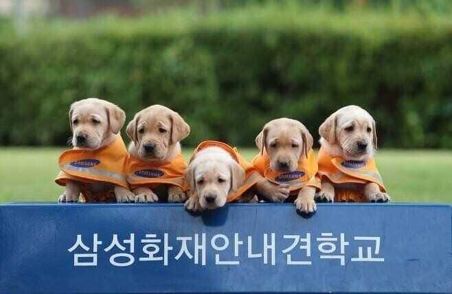 c610762f2c87da2955f1b2db45e04952870abb5a4f1037c9b954d6f79acd0fe155567c2f662297e46b59c28b226919389fc3b0ad9a99c32259cc6368717c39de