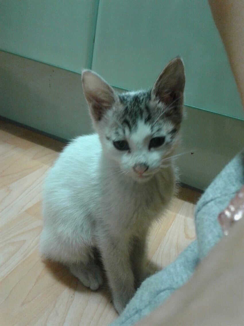 c6789a2fd8d4524cfe4a3d70bbfc146e41c45112b32d596c1fdb186cbca6eb389b1ad34abd22736eb1e877c963217b782dd039aa08ce081e41c012a7d80af23a