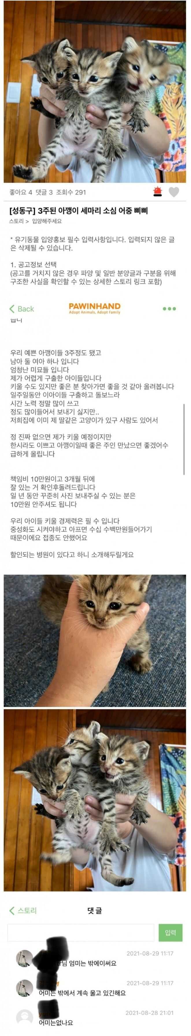 c6ddd41c9159f157760d9a8ea08bc1cc153fc58a5ce1eeb565597b19525ed0c198ed866c48040ea6154fee0fc01d41bdaa80acc0302e94f8a0fcc31f9ff45f11