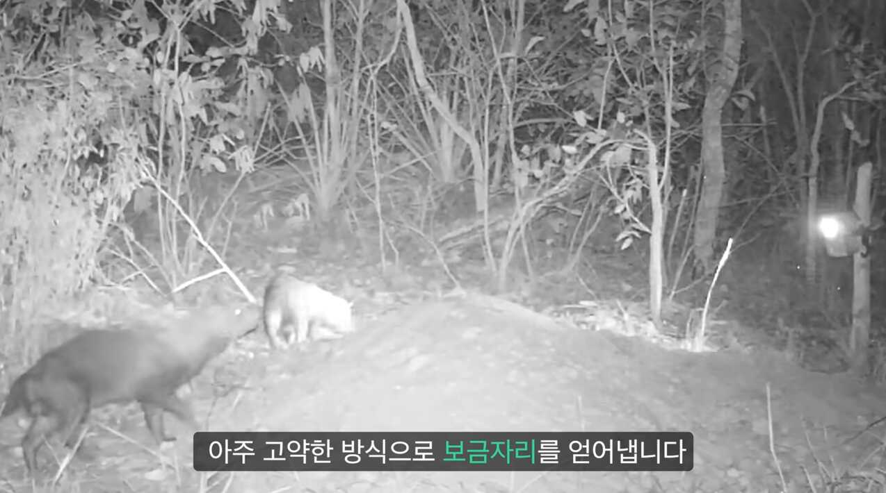 c7f69170607e4bb7e4c6e3e6fd83821afdf2240f9f8f4f61e8d49af095cefb4ea4b564fe41e28055610411b5074ed131ea31ca1c0845a804a86a42e39e05d17b