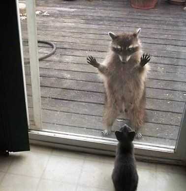 c810f53079a42f69869d0f56ee830accee0dadecc972153e8fb34c892163d1bd3ec6fd658f6d633e53bfd9824b3043edaeae287d407c1a1ec856e7126a574762