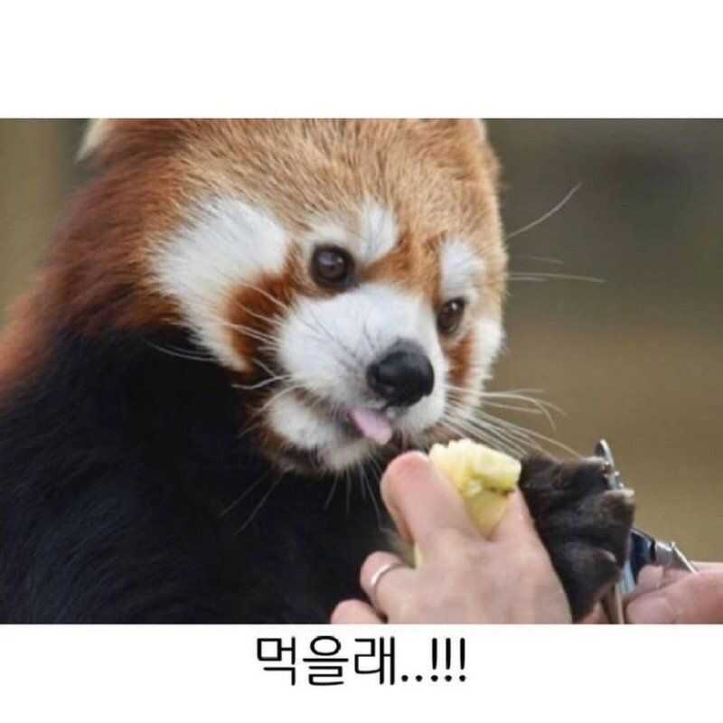 c84d68a463c0b171644a453f2c67c0cee7c93bdfaa092c6dc57e15d1b1842d9d32412bef83179326eb528fbfe33a0d05bda460f981de3c277e1e6c8fd71531db