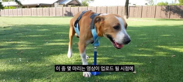 c8f3d9cb68552cb2483b4a039dea92c52c0d71ba818215fd981de864c2f6acb8b499c5180b8c33109b7846c85249eeb2bd4aee67e7e8d7429f70c244f408ace5