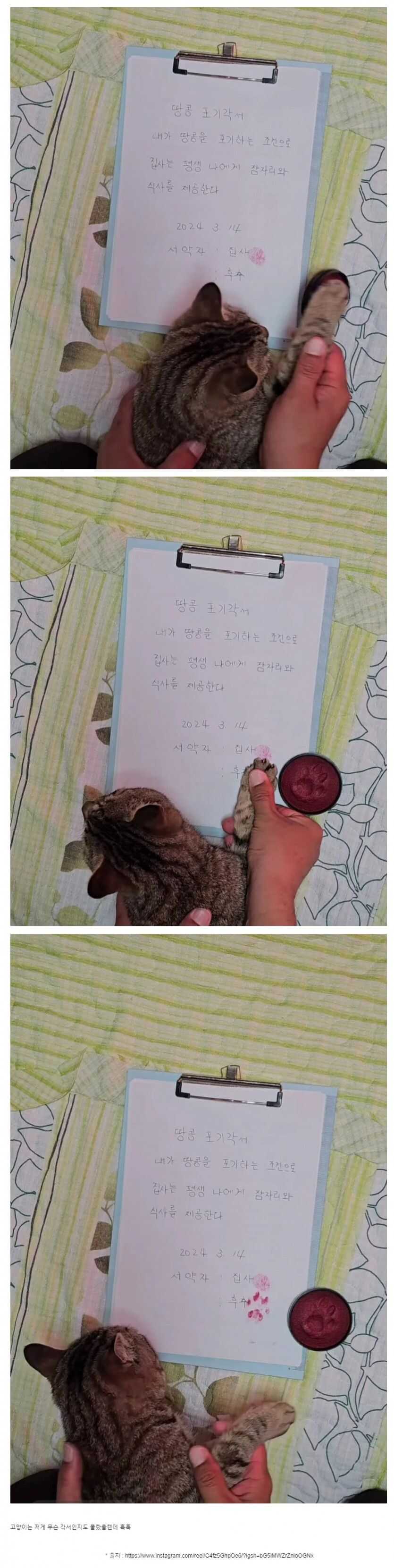 c91e14cba6d39a814da38d910be37f8007e177b515818b552dd5f5f54e9444b9b28067f752d43a2e299481f8b4ffac3467b2cc967fbf4475eb23ccd988badcd3