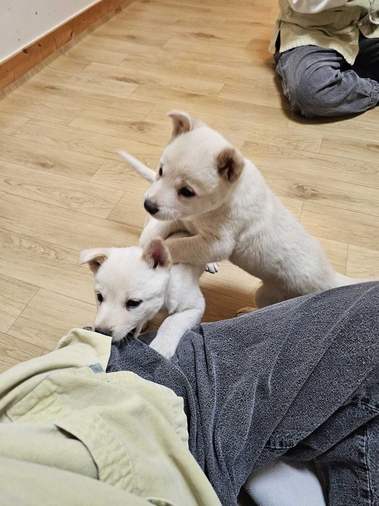 c978694df753a178c9856596e740310785c4a99911fd97f00e16521665fbac7cefee9f7438b904a8d9a31d474525228aaace73566f6f69cfadcebc1190fbcf96