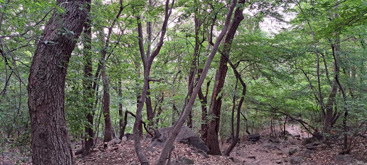 cbffe56d4e20023d6c13f2102ddadfd16fce8568a9384c96d900e7220438a72e3d1fd4203f4b39009380f012e7d1cab37211332eafbf8b8b1545963d32f68ede