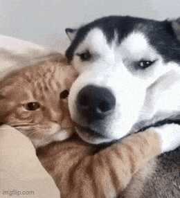 cd52a80534c5395be275119c68eb0ec5d98bb2bd14cbbf900bfbeed7bc6f356c69591144975fa21b115d189240f215880fc9a91810f1a1e6d9dd57b497e0a20d