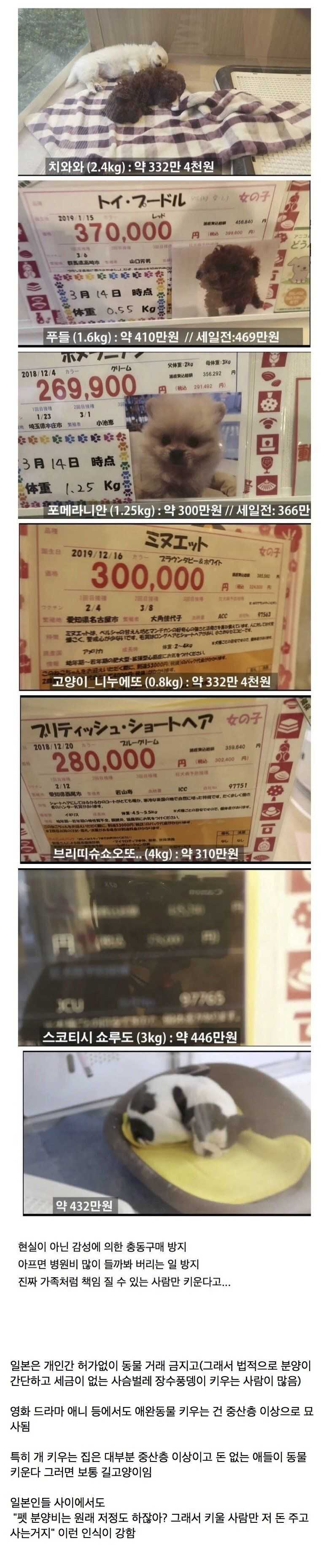 ce722cbe144aa2e0c7f6af12ed2821674aca79a9e3cbe79298228080cfdea7d44685b6c427958518d7e3ef90337f1e757a373b24a5f8ad12a05e28337ebba2d4