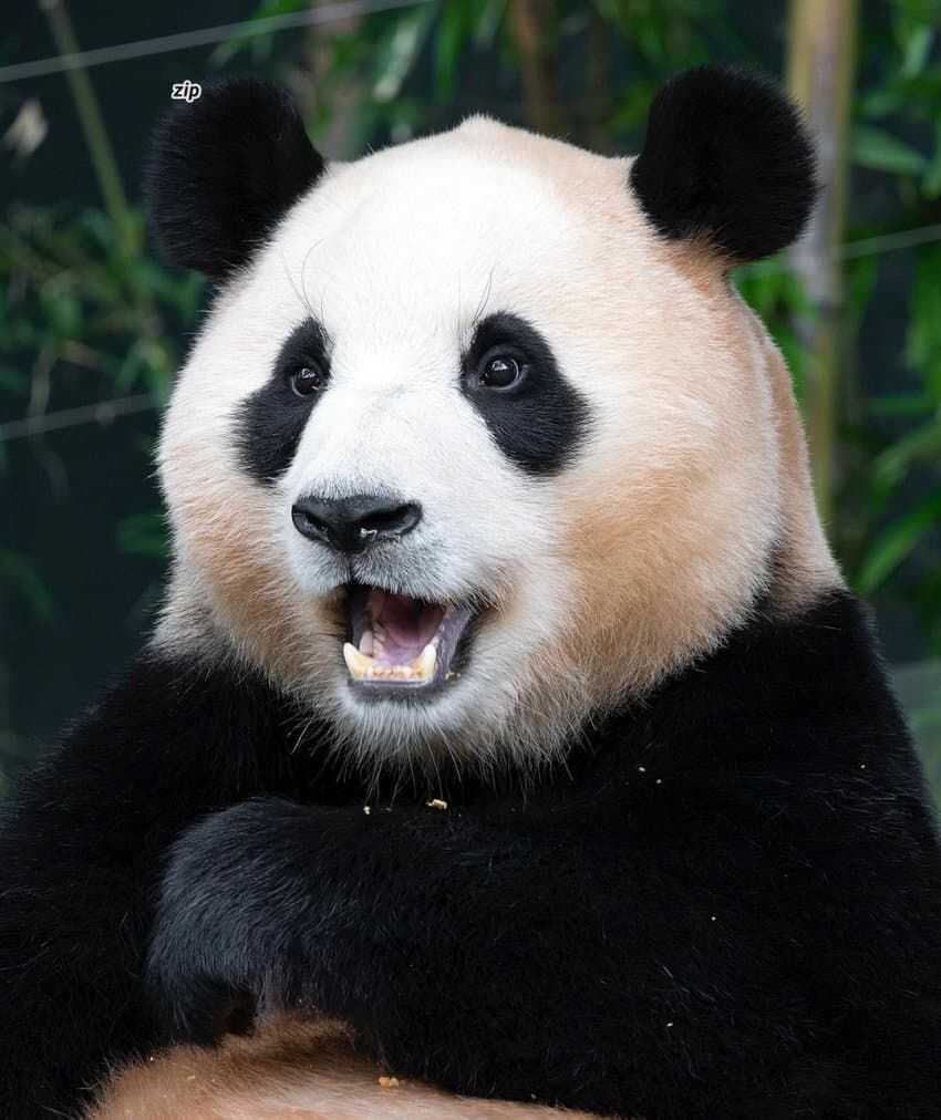 cf1b62dd55888b2a3ba22bf2a470b27ebb44f8c1cd70bb3ff9f9187312a2f244ff79e64c83fc0b759777703299a414fd31d4189e3191fbaf2f9c6be2616f0fc1