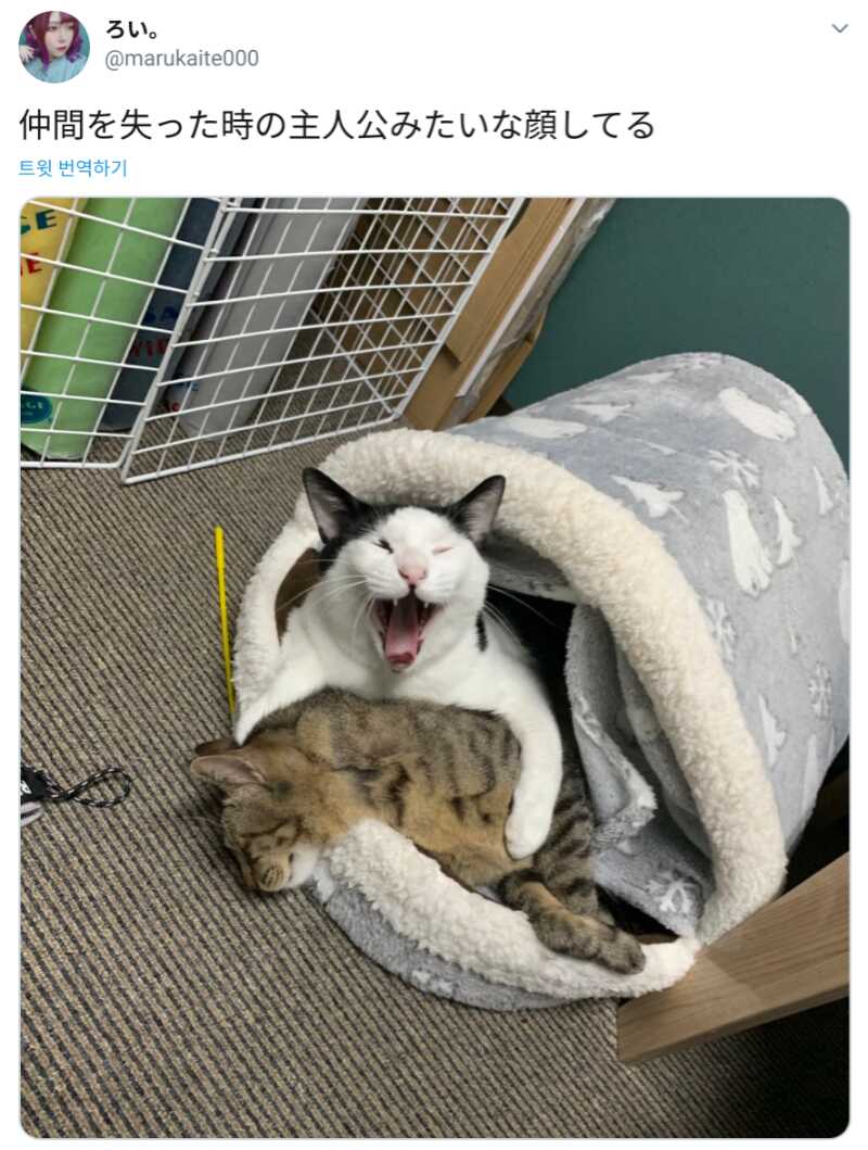 cf97bceeba9e658a290eb50c34cfbd451524fd5b5714d12f007c6c1f1d6d717bc7411e808b3c48af8c7a7af7725b2305142a2d1cd94a62ddf52908889f447fc9