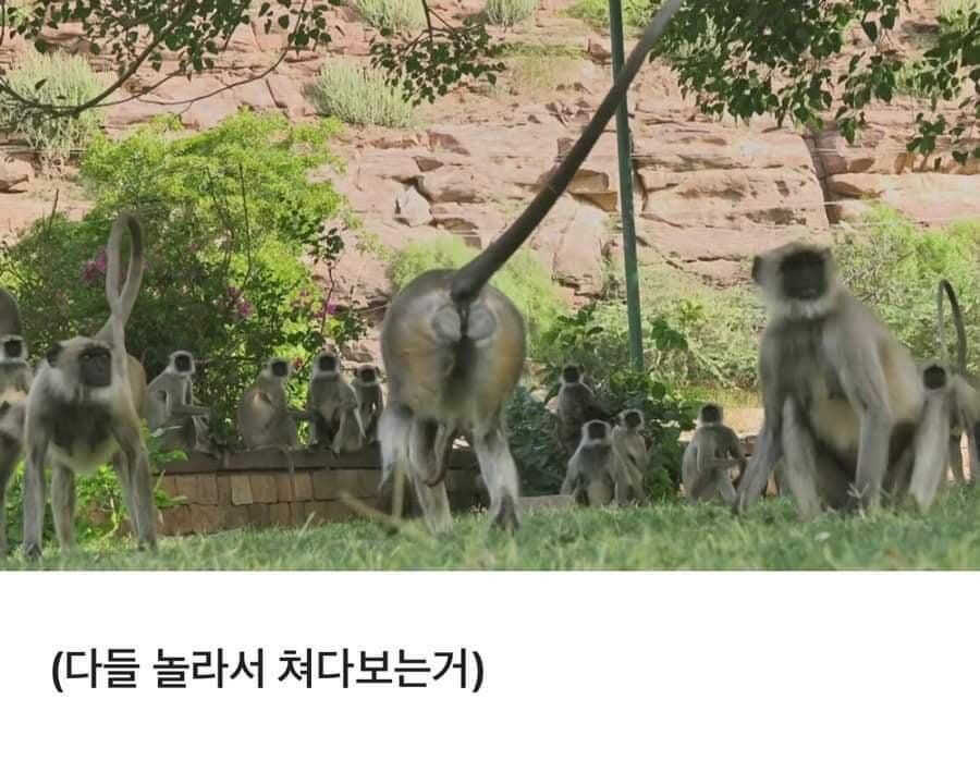 cf9858f15f85716d00b010b9890f6d24ccb60f62f9bb73ef1aa334af42c0de768d39ccecdc68c3b957da48a14059c21049f798996146fa9326ae6e12e3c33ba7