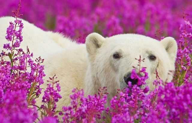 cfe84d5b711954eef5f7cada4b3c3b50595d3eb00d4bf9ffc0cb83fc587b7109dc62ef8c228f51403cf29257c13ad3eea5586ed8469fab77347ad5d4839be02b