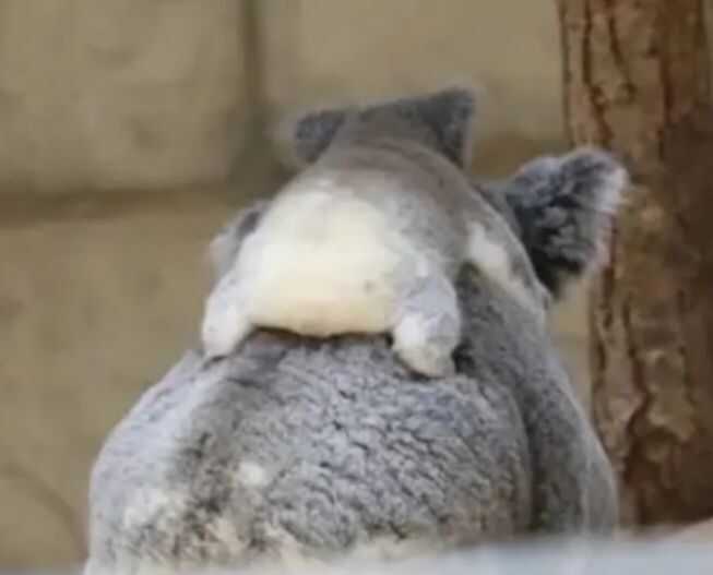 cff458ef41965546cd3f6a30417db9c1ff5cdbb0e58d890576dfcce4dcbe2f515a0d48456a7ecd6b3170caa6bba2f6c12534305e6fffac8a07c8b2c811bfdb10