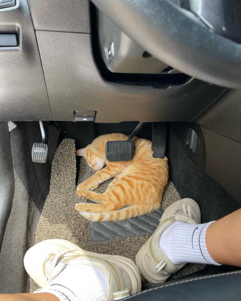 d0235313a6ee49eea0502e69afebcfe2dadb309a2bf6f0d696b654558f7d916b96714aad7badb76de2c1e8c3c42f684c5a1510c448d8b6a55f1c49bb7fde0bde