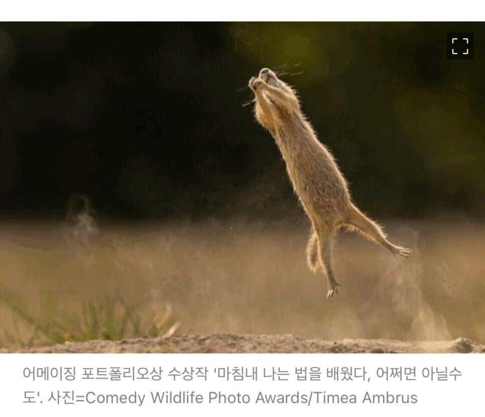 d054788f365c18fff490dee65e789442b6091d84fed025ae349d6a8b8b2d18f7c11fbb4e4eeae5d4cc625b348bce40af6835f5ef77ad84c0dfeb538f79baaa74