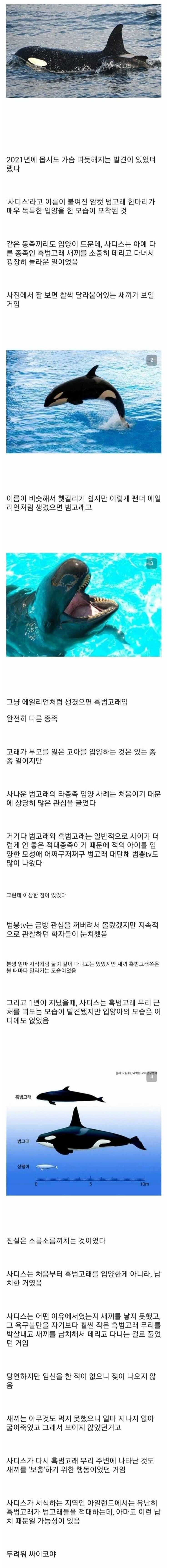 d07f1bb95092532b377283cf7e439ab3b8f807479fe63cd6c9ead9546e3616e50a9fd1f03d2cec53845bcd3a16cbb7e665fd0fcaf30720da345c12fc5d44cd22