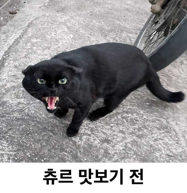 d2defccfadc96ad28001bddbe4880d82613f3e0c567bd176fae163d5cd46f18232f75b4e4af0a32cd7bcaefdbacd03a67b3ea91a8357b0ed5c6eb8c7e86e5099