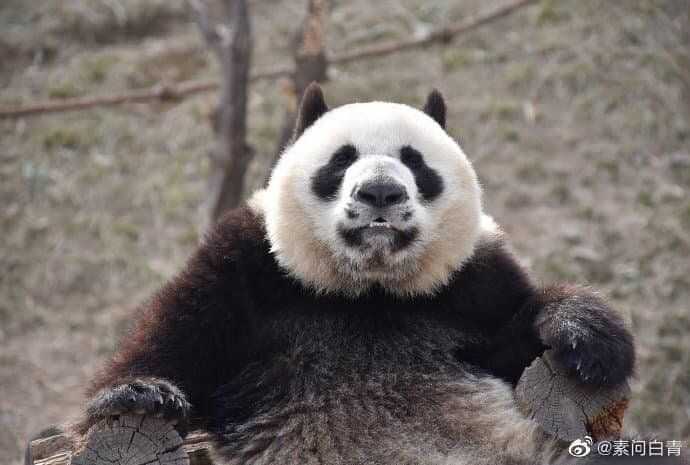 d4232416616a26d714ae4e9afa3f68b884efd7fc9e889f8e764a3d209c207c93e6a354c966b88fe738199f8a35cdd735543a2dab66caf8c8a292791390f9e2d4