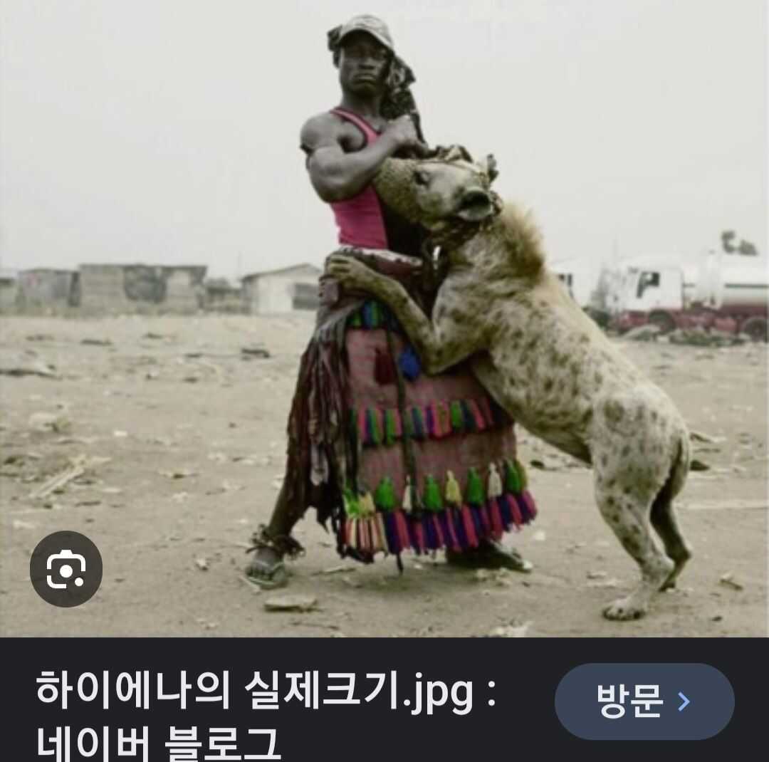 d4371e47a00f72afa2e3cf1ef207f6cfd2895cbb41115e0b9b61138c2528d4a5efa877e7b06e1e8057832e984b2c5842890e47363ed98bad583a11c7f14e798c