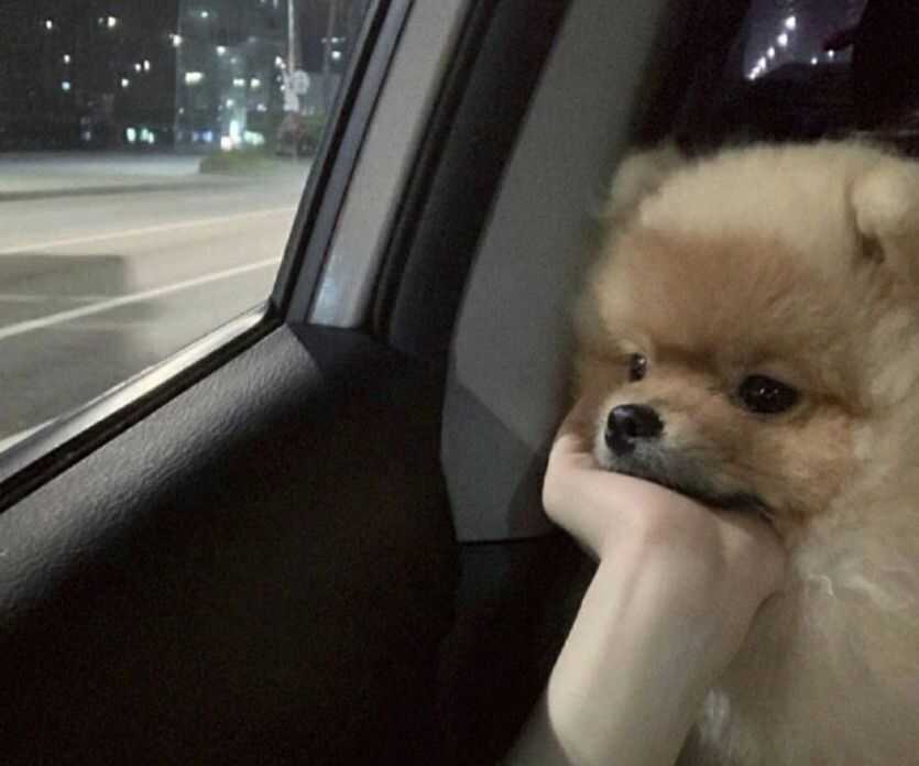 d4b118a665dab7f1c7c841ab8afe38ea714f68c56365847091d8726e28e1a2734de654644511b4122ea27ed4f2b9e1184f641039159f683bd1ed8f2d7b4c174f