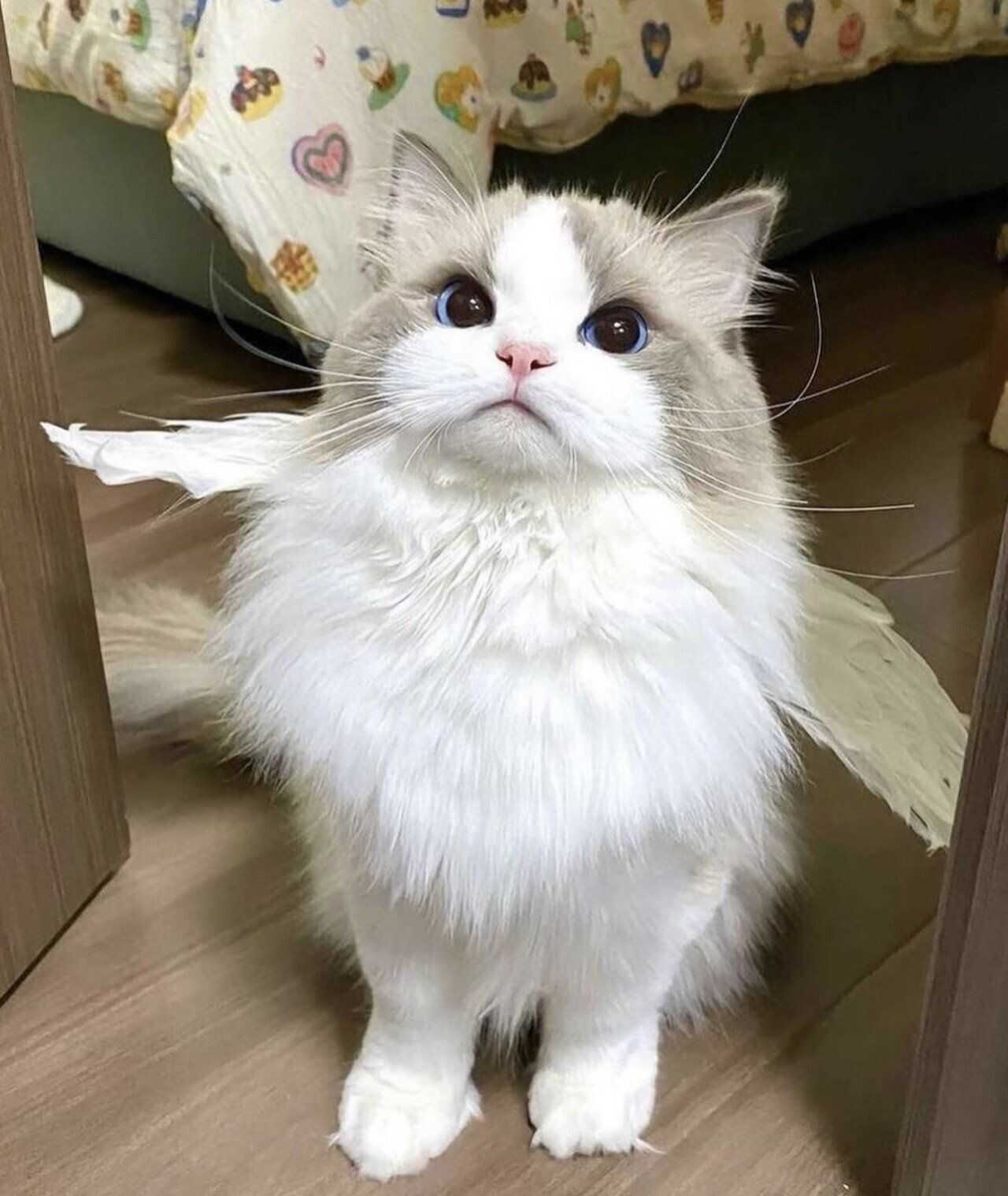 d4fe014b3c416b843fa43ad1bb46a568557cfa2235170430823aea59055238203536464fba58e0863d7c806c90880b17dfe5ffa09a49ed8e9d7ca0cacd692292