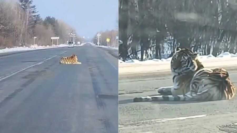 d6b16491468a1e8532836555a8b66218c53f44ea653c9f24c7a4ca0edae42e8278fff279ace670a3c327d059de6365bcd6bcc5cc49c7258c045e28c71157dddb