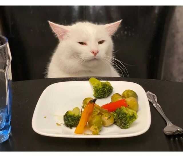 d7b8450ce6e6be0b2bd683abe13c590c019688d10d3a002b47334b2b98d091020adb3aa4974ebcf9a9820954ded6733b7bbe2a075b3683911f0134d131b987c6