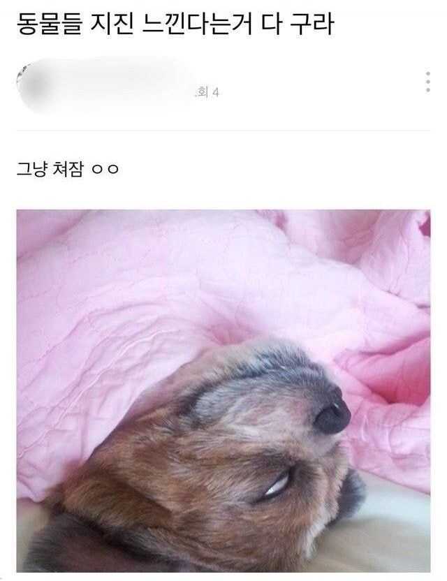 d7dca7317079256d1697cc6fbef39ef889f2f2c1e72d90da38ef62c77215c0cf5bc1a92bc1c43ad5e50852167eadfde8c4cd32af75c7d0f917fee34eab6917d2