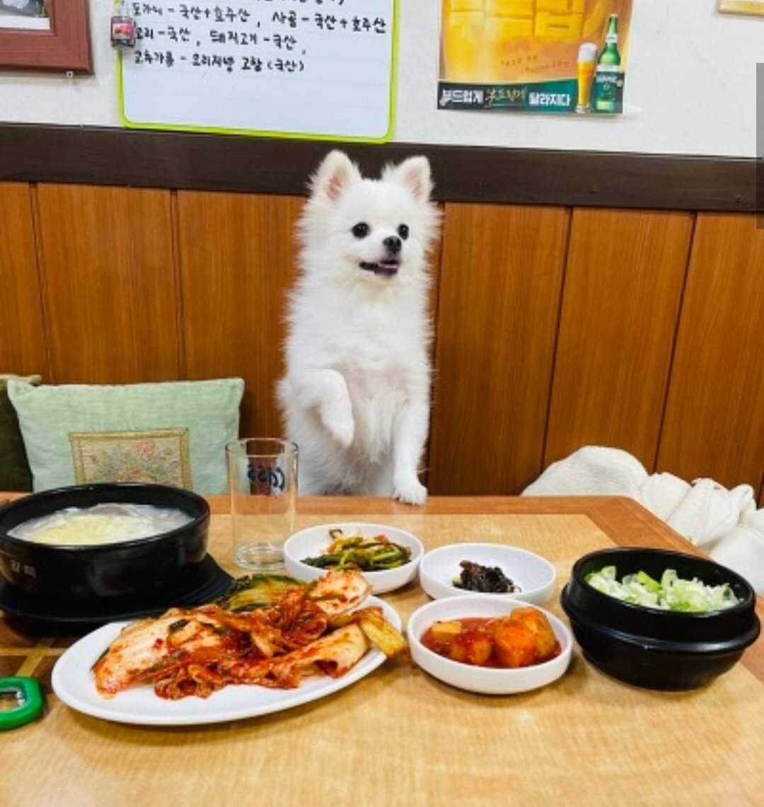 d84fb0192decd86ca731f958c0a2622780079c2dbb6093f042598c6d648253e2e4c2b1bfa2110474fd00204834f548c8d04f40ed7c696a25c74f5c94b6bb5548