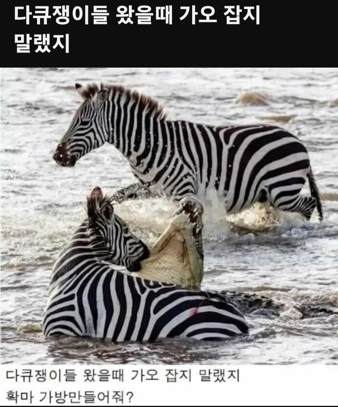 d8824b450310b3b0e2ad9824f921082eae8a58804148156d7039478e461422cf9597aeb7e92f99d9715bf3038b68484c8cdf0afb2b32c18ebe9b652ea8d825ea