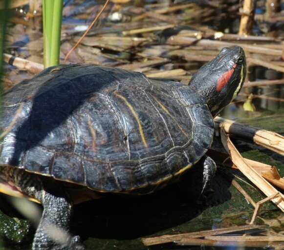 d8a655edfcfde33a34787bcf728fd6c0f9aa145578c6b38d868d7a79c818a237d2d92eaf652c2c9f6f2e483a140bf1307087a4d66f03315c20e4d59f75c0ef51