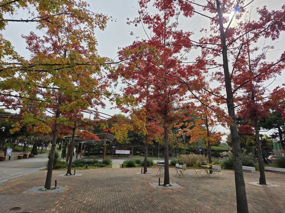 d96b1bdd2d91cb5c9f58e854e7b5a3b0a2050eac180924c932f09b71ad78f947fa5ab7606230b1b4bdc4402434db6734b9c820a8755f8eebbbb6859ef92cddae