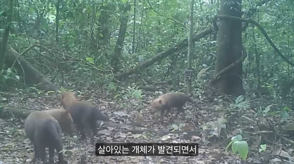 d97fd26970a4603c214ec9dbe00086b5bb5adbf13b95afe86b3ec36e8f71b857009c17aa575f65cb20e7cf4ddacbc89c56551a5f8f69508dda192104e156d419